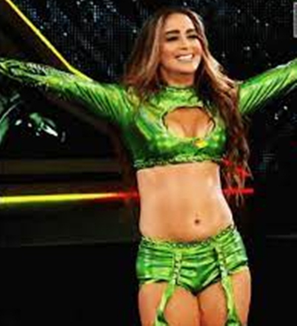 WWE Entertainment