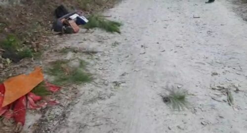 लानाचेता सड़क हादसे में 4 की मौत