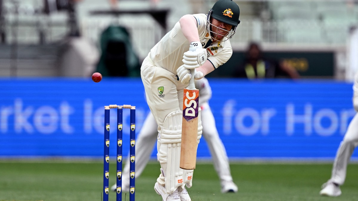 डेविड वॉर्नर बने ऑस्ट्रेलिया के दूसरे टॉप स्कोरर, तोड़ा ये रिकॉर्ड |  क्रिकेट खबर