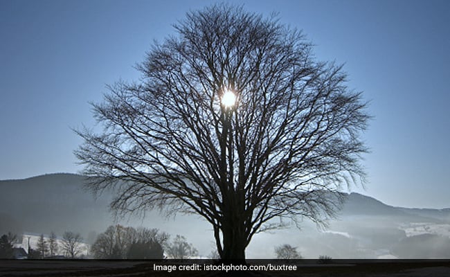 India Set To Witness Shortest Day Of The Year Today, Here