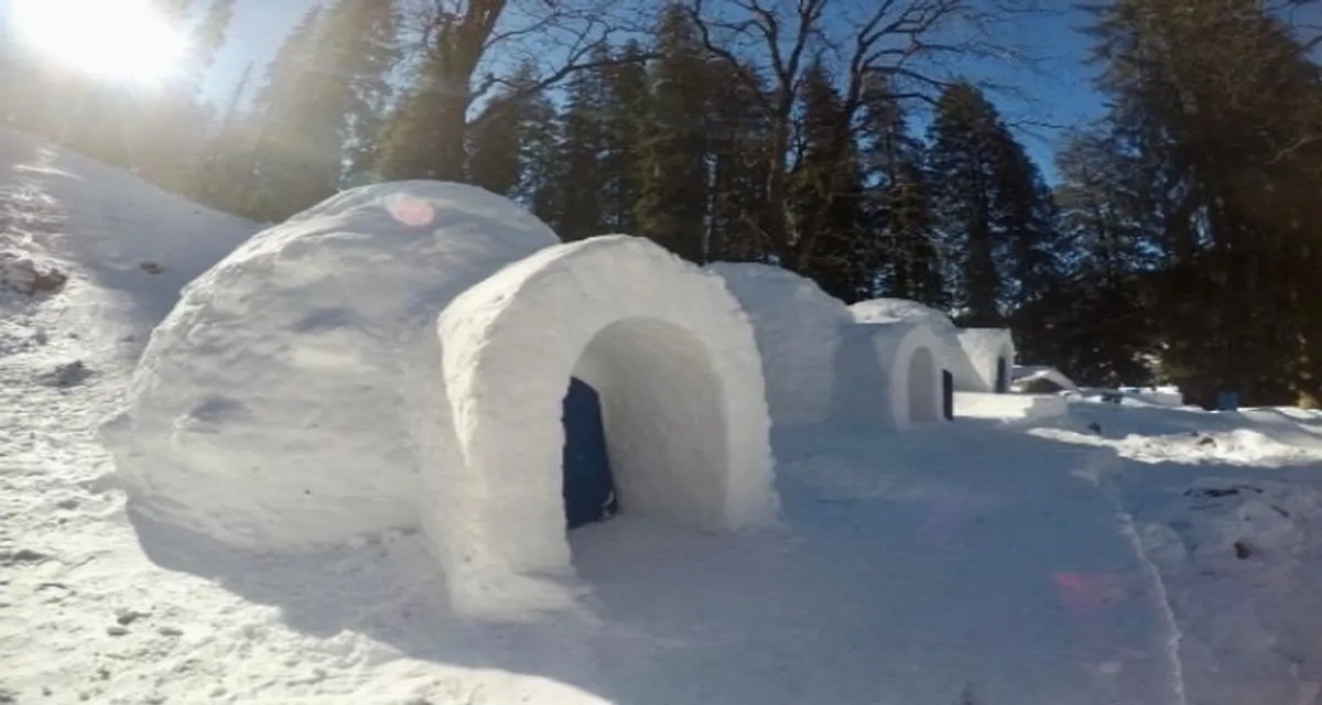 IGLOO