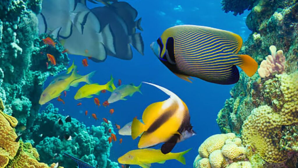 Fisheries