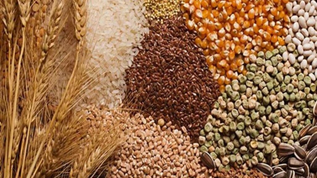 Foodgrain
