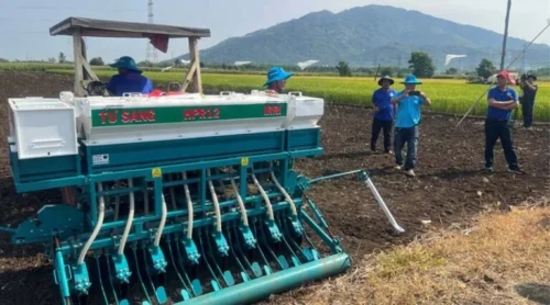 Low-Emission Rice Farming in Vietnam | New Sowing Technology by IRRI