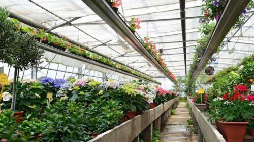 Horticulture