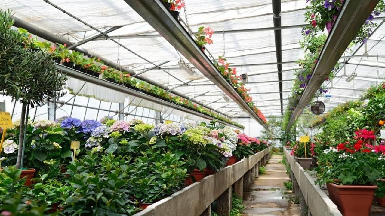 Horticulture
