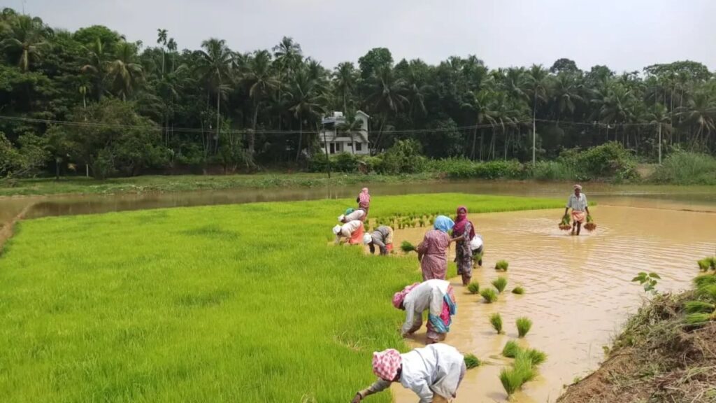 Kerala