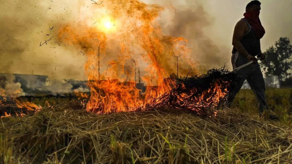 Stubble Burning