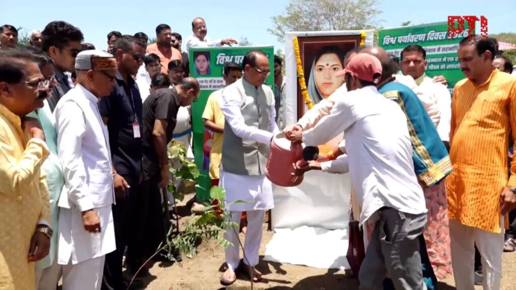 Tree Plantation