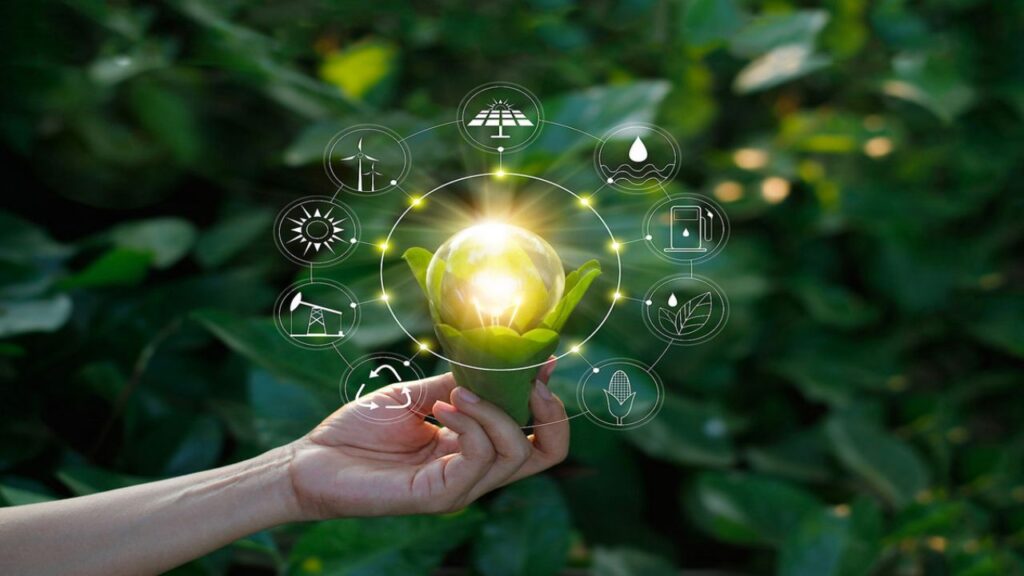 Bioeconomy