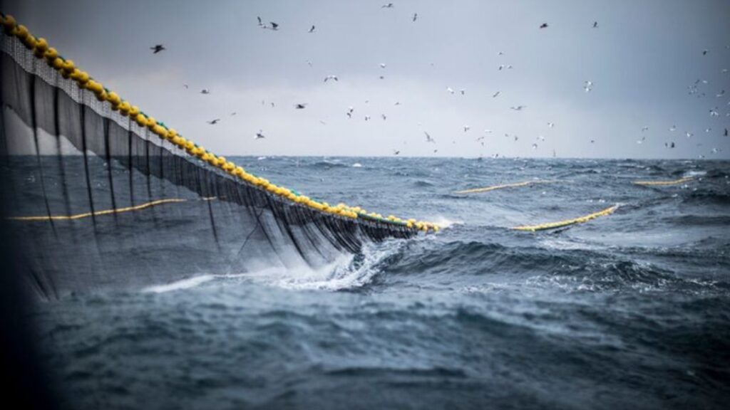Fisheries