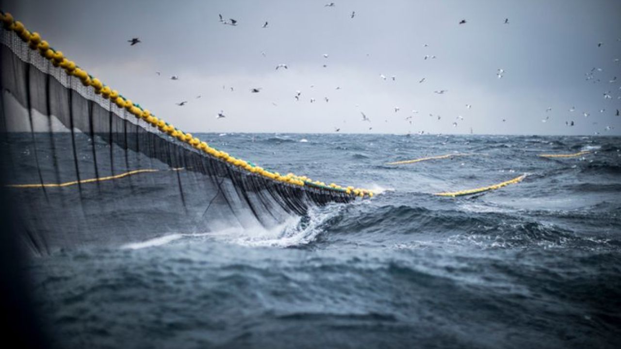 Fisheries
