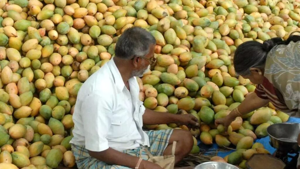 Mango