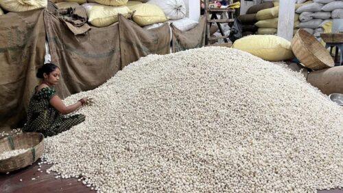 Makhana