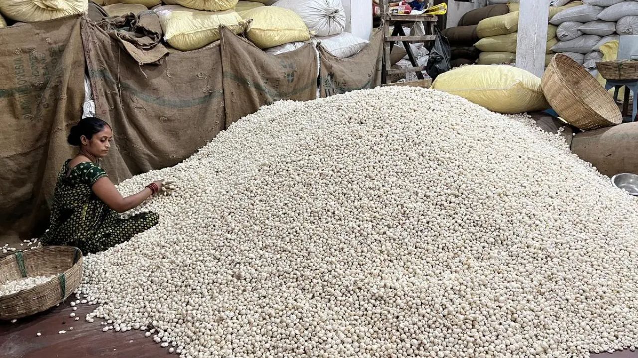 Makhana