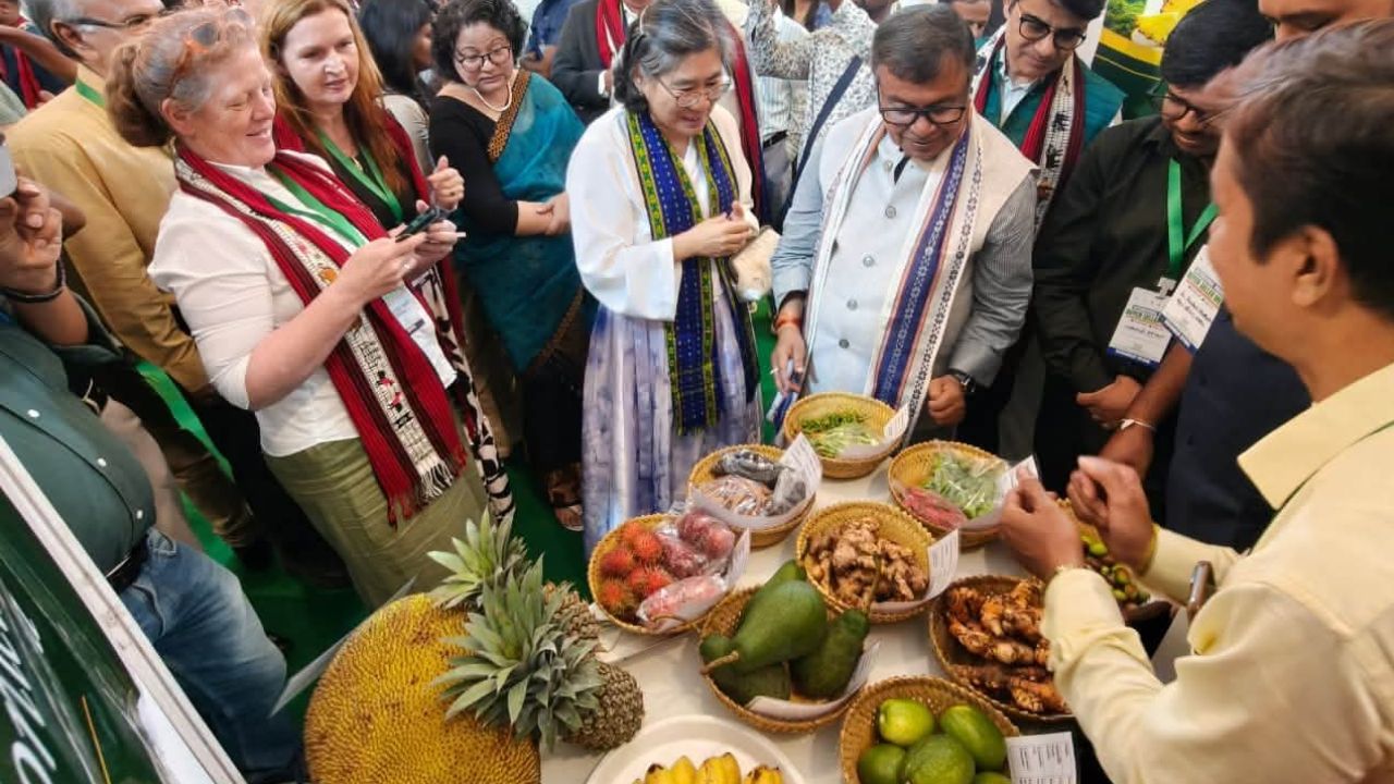 Tripura