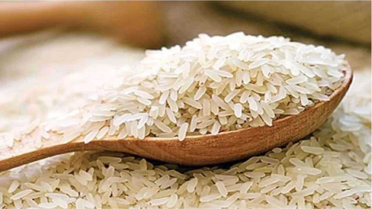 Rice